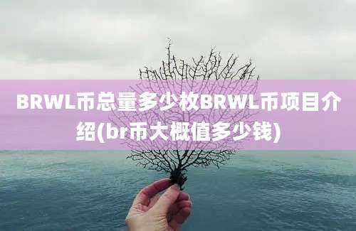 BRWL币总量多少枚BRWL币项目介绍(br币大概值多少钱)