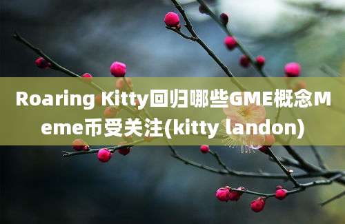 Roaring Kitty回归哪些GME概念Meme币受关注(kitty landon)