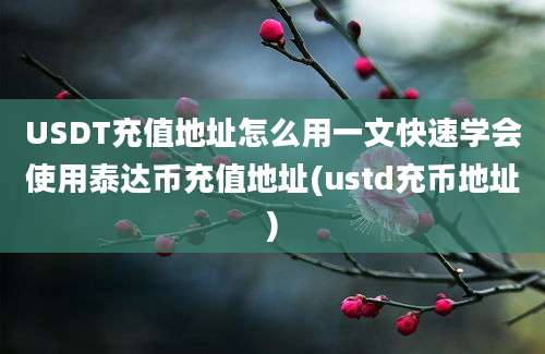 USDT充值地址怎么用一文快速学会使用泰达币充值地址(ustd充币地址)