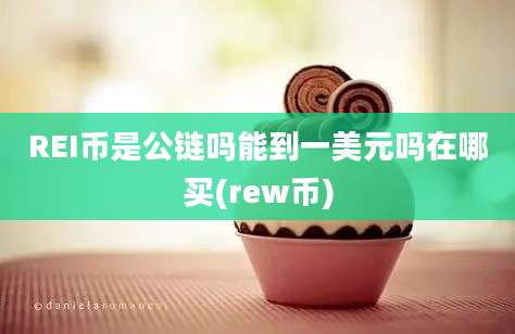 REI币是公链吗能到一美元吗在哪买(rew币)