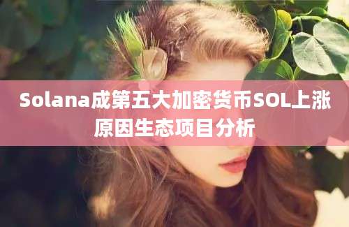 Solana成第五大加密货币SOL上涨原因生态项目分析