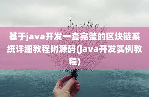 基于java开发一套完整的区块链系统详细教程附源码(java开发实例教程)