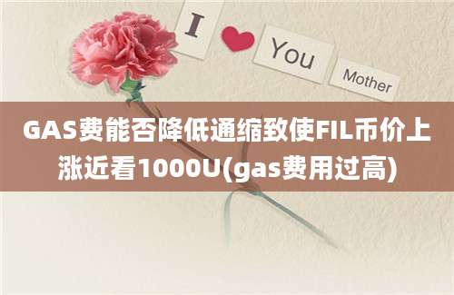 GAS费能否降低通缩致使FIL币价上涨近看1000U(gas费用过高)