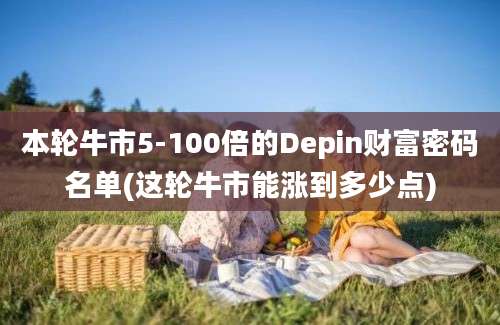 本轮牛市5-100倍的Depin财富密码名单(这轮牛市能涨到多少点)