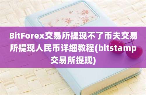 BitForex交易所提现不了币夫交易所提现人民币详细教程(bitstamp交易所提现)