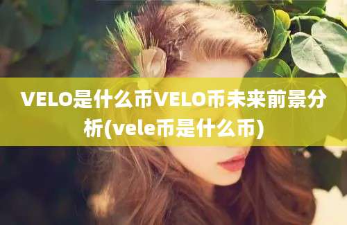 VELO是什么币VELO币未来前景分析(vele币是什么币)