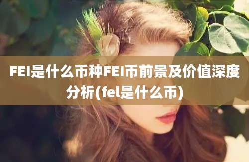 FEI是什么币种FEI币前景及价值深度分析(fel是什么币)