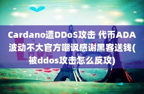 Cardano遭DDoS攻击 代币ADA波动不大官方嘲讽感谢黑客送钱(被ddos攻击怎么反攻)