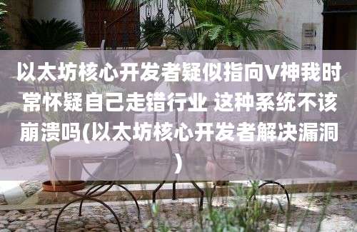 以太坊核心开发者疑似指向V神我时常怀疑自己走错行业 这种系统不该崩溃吗(以太坊核心开发者解决漏洞)