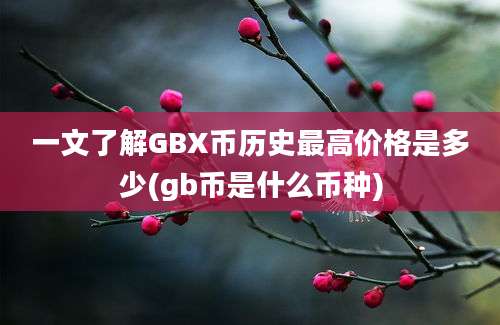 一文了解GBX币历史最高价格是多少(gb币是什么币种)