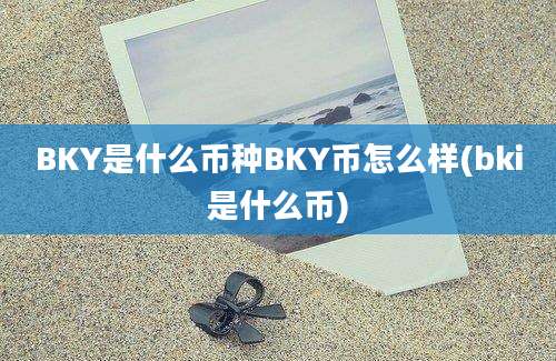 BKY是什么币种BKY币怎么样(bki是什么币)