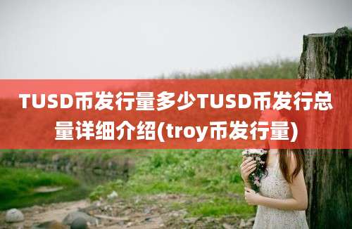 TUSD币发行量多少TUSD币发行总量详细介绍(troy币发行量)