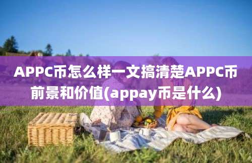 APPC币怎么样一文搞清楚APPC币前景和价值(appay币是什么)