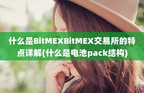 什么是BitMEXBitMEX交易所的特点详解(什么是电池pack结构)