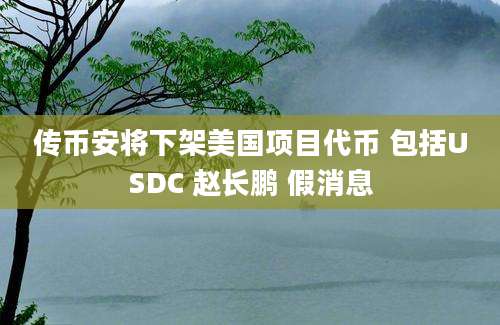 传币安将下架美国项目代币 包括USDC 赵长鹏 假消息