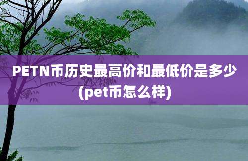 PETN币历史最高价和最低价是多少(pet币怎么样)