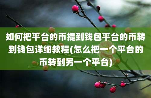 如何把平台的币提到钱包平台的币转到钱包详细教程(怎么把一个平台的币转到另一个平台)