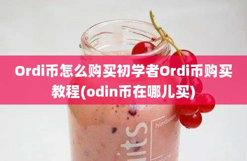 Ordi币怎么购买初学者Ordi币购买教程(odin币在哪儿买)