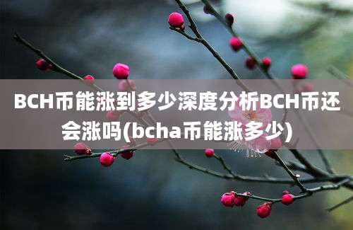 BCH币能涨到多少深度分析BCH币还会涨吗(bcha币能涨多少)