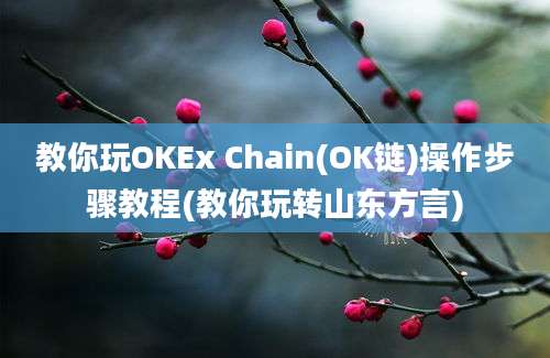 教你玩OKEx Chain(OK链)操作步骤教程(教你玩转山东方言)