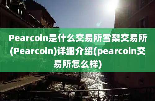 Pearcoin是什么交易所雪梨交易所(Pearcoin)详细介绍(pearcoin交易所怎么样)