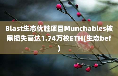 Blast生态优胜项目Munchables被黑损失高达1.74万枚ETH(生态bef)