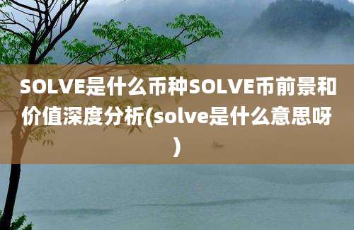 SOLVE是什么币种SOLVE币前景和价值深度分析(solve是什么意思呀)