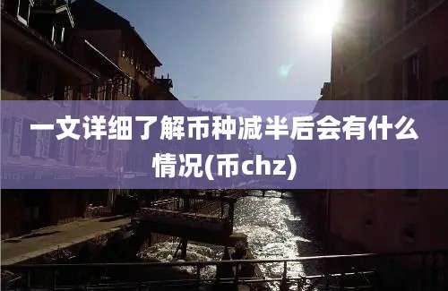 一文详细了解币种减半后会有什么情况(币chz)