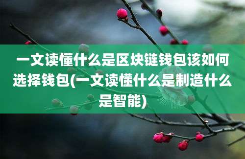 一文读懂什么是区块链钱包该如何选择钱包(一文读懂什么是制造什么是智能)