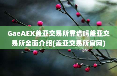 GaeAEX盖亚交易所靠谱吗盖亚交易所全面介绍(盖亚交易所官网)