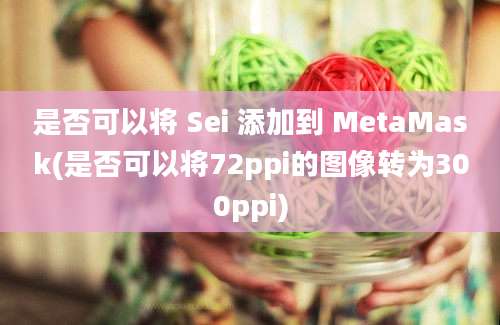 是否可以将 Sei 添加到 MetaMask(是否可以将72ppi的图像转为300ppi)