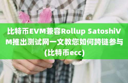 比特币EVM兼容Rollup SatoshiVM推出测试网一文教您如何跨链参与(比特币ecc)