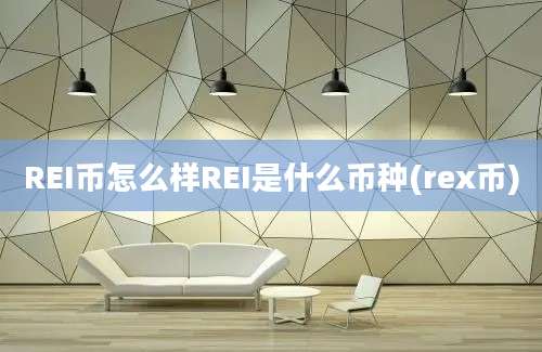 REI币怎么样REI是什么币种(rex币)