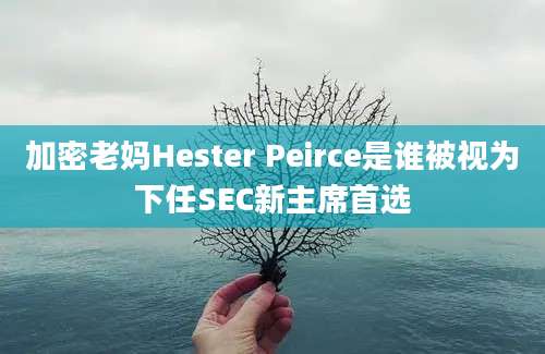 加密老妈Hester Peirce是谁被视为下任SEC新主席首选