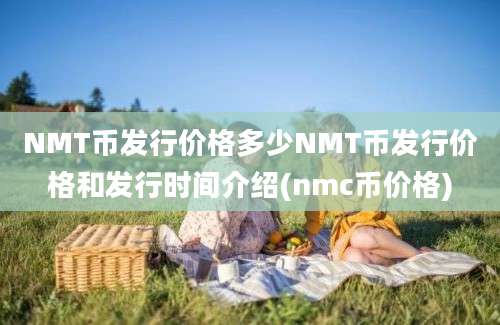 NMT币发行价格多少NMT币发行价格和发行时间介绍(nmc币价格)