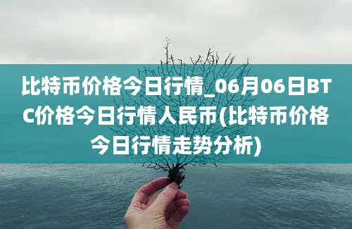 比特币价格今日行情_06月06日BTC价格今日行情人民币(比特币价格今日行情走势分析)