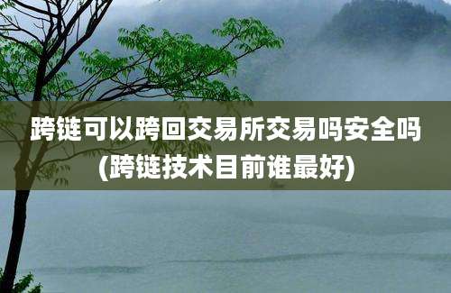 跨链可以跨回交易所交易吗安全吗(跨链技术目前谁最好)