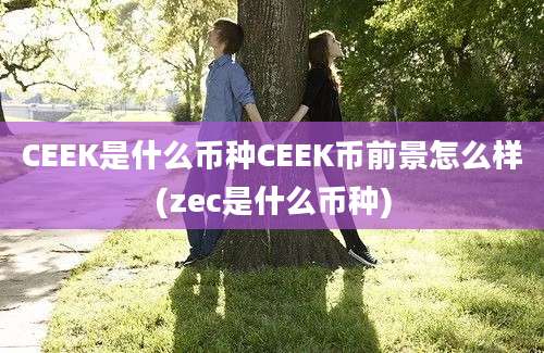 CEEK是什么币种CEEK币前景怎么样(zec是什么币种)