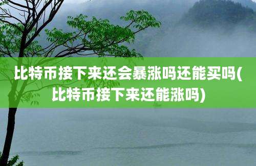 比特币接下来还会暴涨吗还能买吗(比特币接下来还能涨吗)