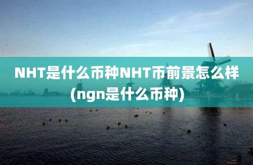 NHT是什么币种NHT币前景怎么样(ngn是什么币种)