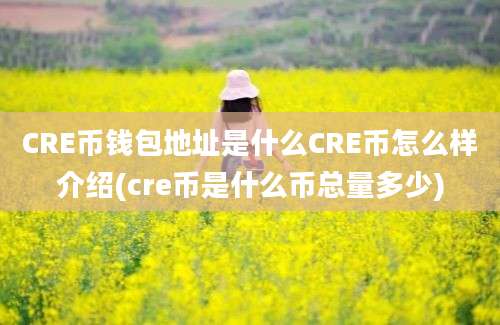 CRE币钱包地址是什么CRE币怎么样介绍(cre币是什么币总量多少)