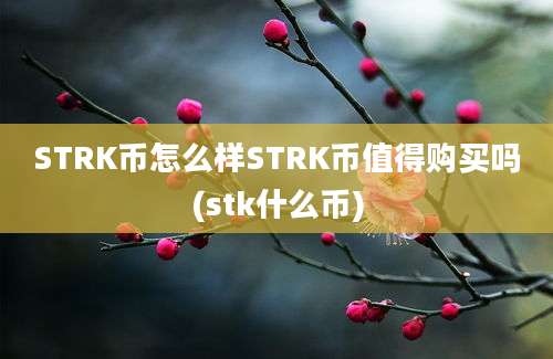 STRK币怎么样STRK币值得购买吗(stk什么币)