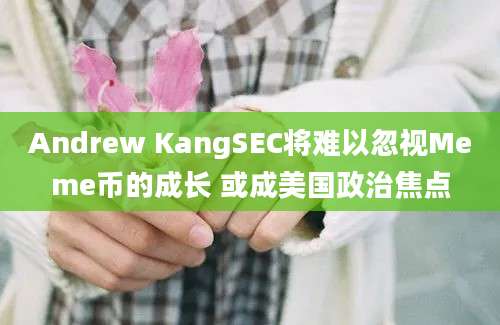 Andrew KangSEC将难以忽视Meme币的成长 或成美国政治焦点