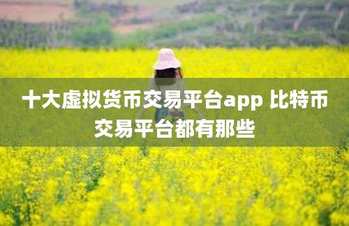 十大虚拟货币交易平台app 比特币交易平台都有那些