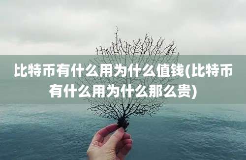 比特币有什么用为什么值钱(比特币有什么用为什么那么贵)