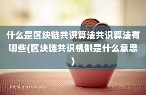 什么是区块链共识算法共识算法有哪些(区块链共识机制是什么意思)