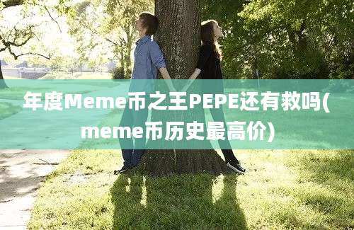 年度Meme币之王PEPE还有救吗(meme币历史最高价)