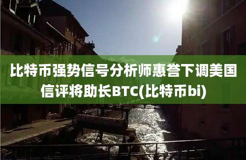 比特币强势信号分析师惠誉下调美国信评将助长BTC(比特币bi)