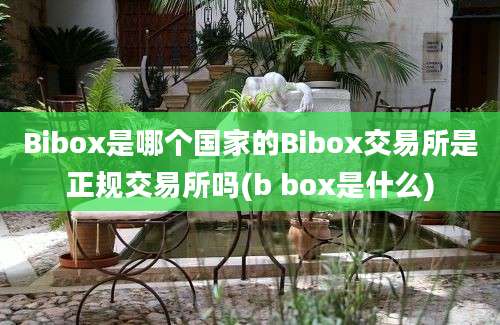 Bibox是哪个国家的Bibox交易所是正规交易所吗(b box是什么)