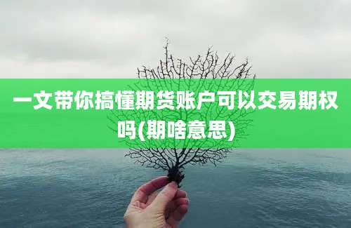 一文带你搞懂期货账户可以交易期权吗(期啥意思)